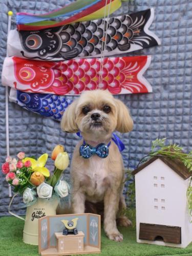 20230527ラルクくん